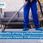 Carpet Shampoo Cleaner in Mississauga